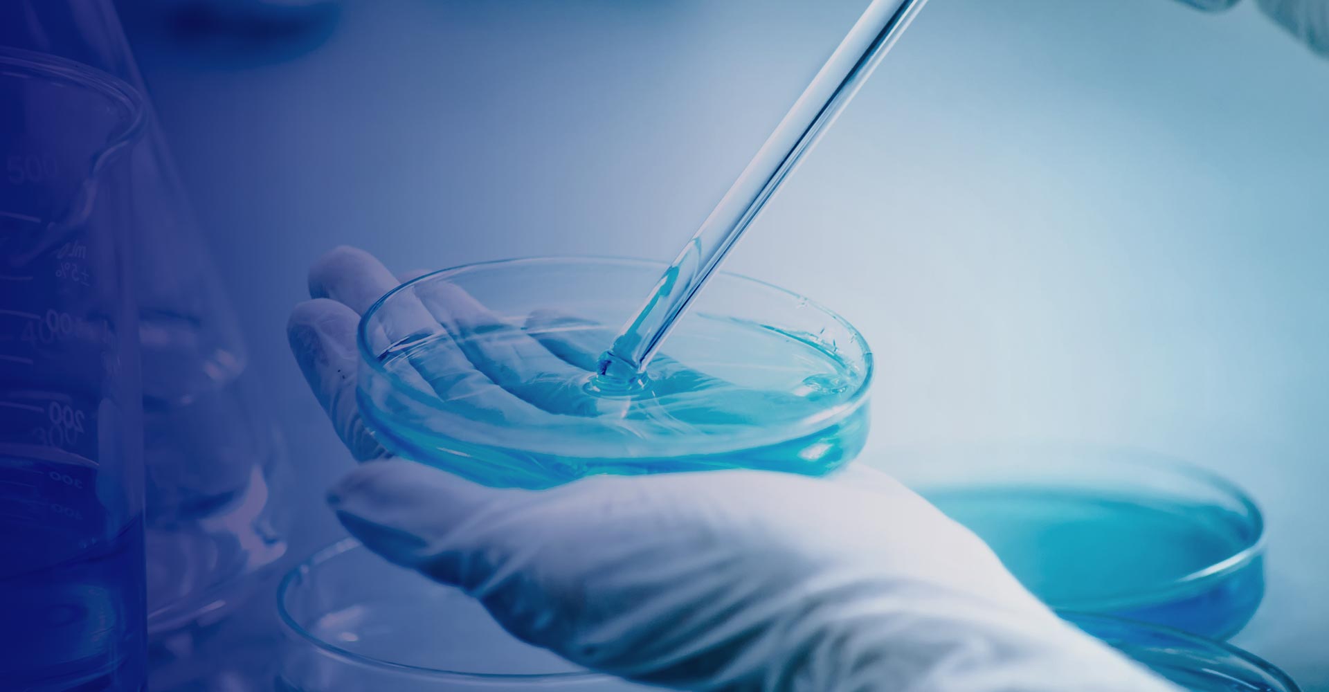 樹脂領域 研發(fā)創新